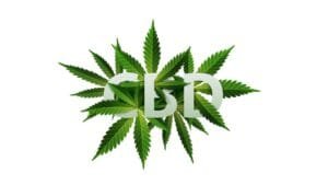 CBD Canarom