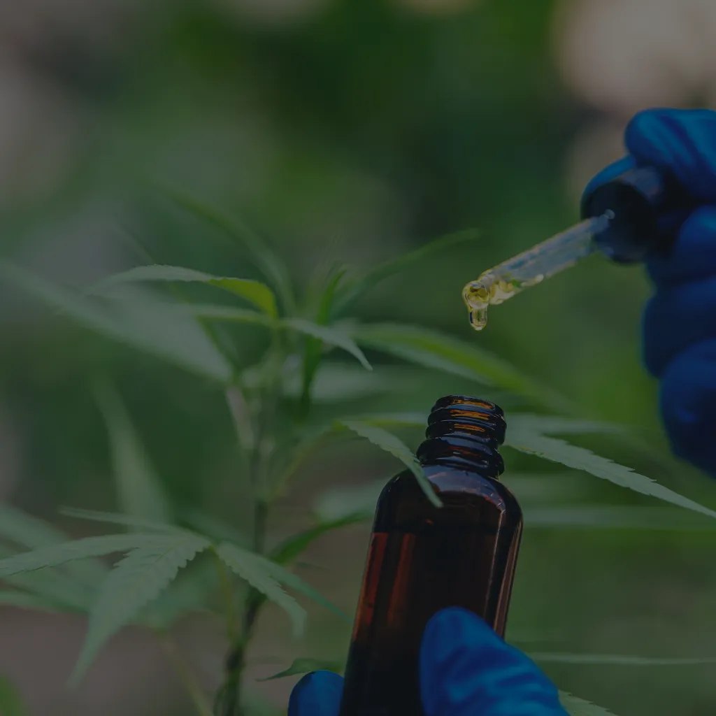 CBD în Utilizările Terapeutice